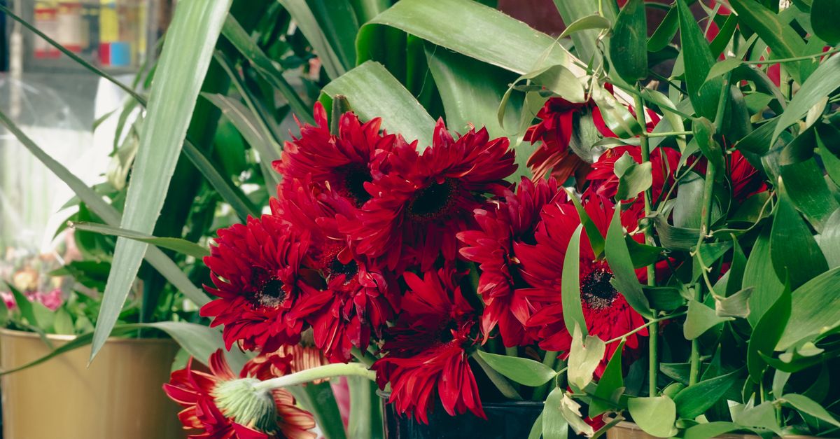 Incorporating Local Flora in Wedding Ceremonies