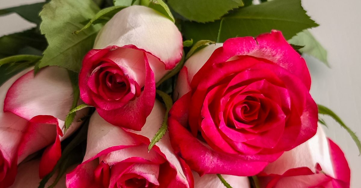 Seasonal Flower Selections for Funeral Services in Newcastle