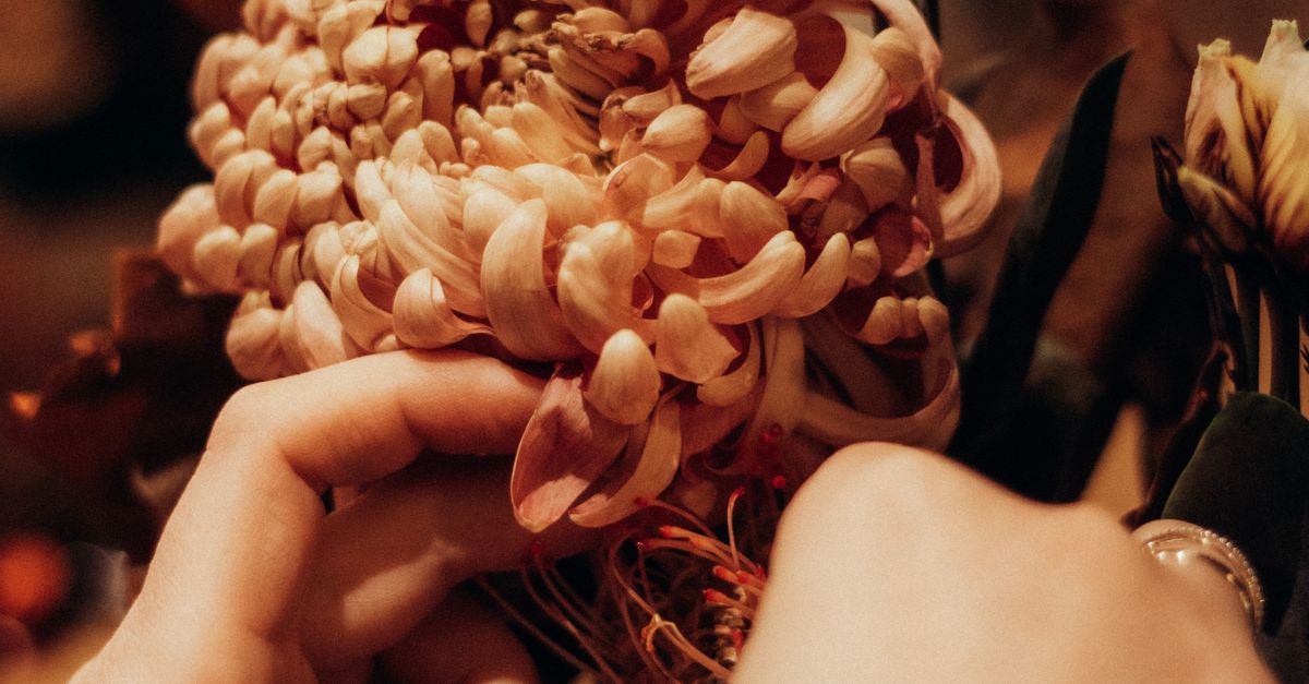 The Ultimate Guide to Summer Floral Trends in Newcastle